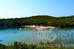 1067-sivota-bela-vraka-resize.jpg