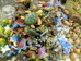 112-16-resize.JPG