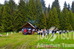 1309-kopaonik-piknik-resize.jpg