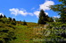 1321-kopaonik-vrhovi-a-resize.jpg