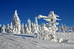 938-kopaonik-jutro-648-resize.jpg