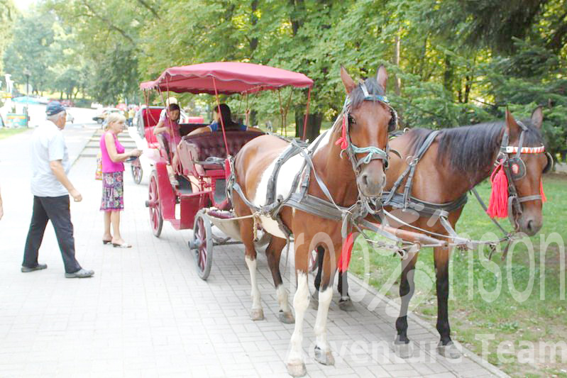 Vrnjačka banja - Pansion Vuk 3*