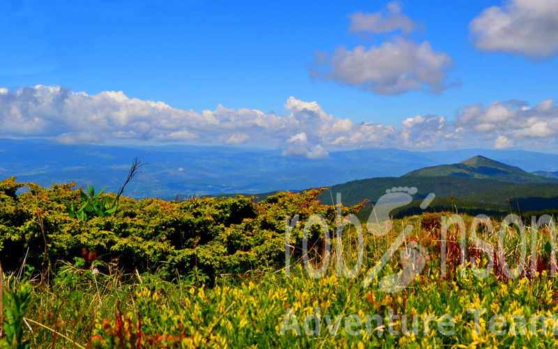 Kopaonik panorama