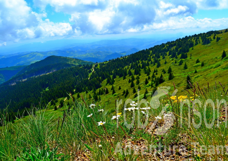 Kopaonik panorama