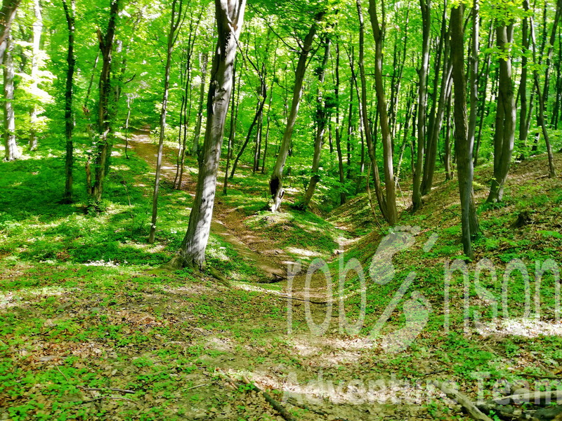 Kićeni Srem | Fruška gora