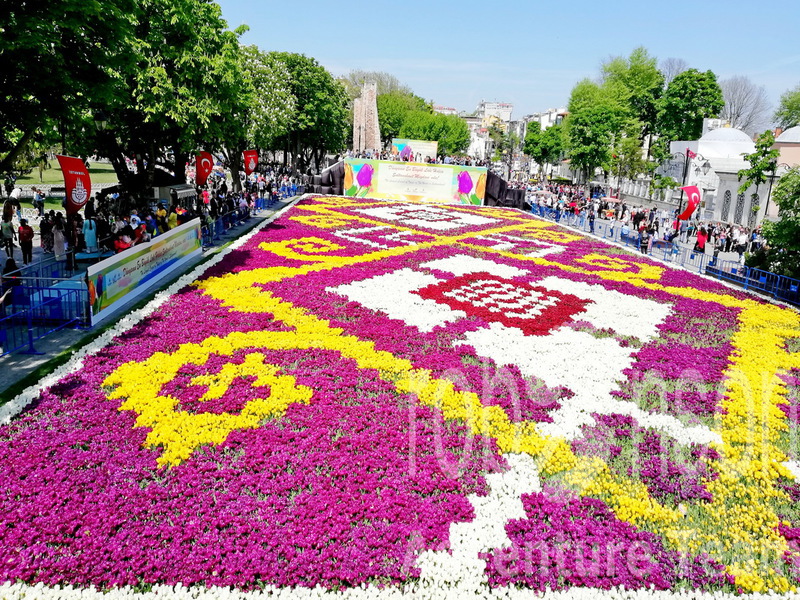 Istanbul busom 6 dana