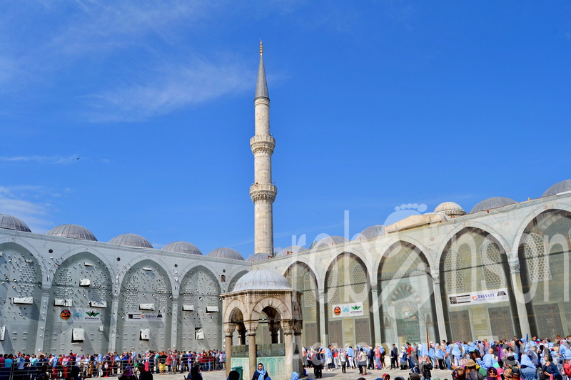 Istanbul busom 6 dana